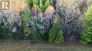LOT 2 WATSONS CORNERS ROAD | Lanark Ontario | Slide Image Two
