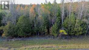 LOT 3 WATSONS CORNERS ROAD | Lanark Ontario | Slide Image Two