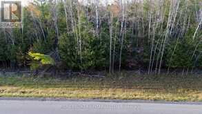 LOT 3 WATSONS CORNERS ROAD | Lanark Ontario | Slide Image Four