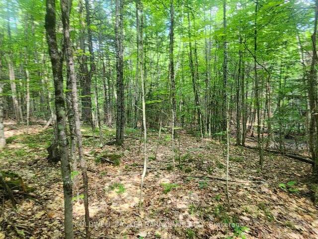 00 CANAAN ROAD Renfrew Ontario, K7V 3Z4 - Vacant Land For Sale