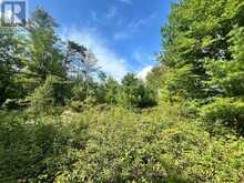 LOT 7 POND ROAD | Tay Valley Ontario | Slide Image Five