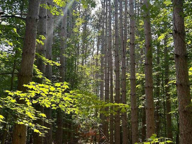 LOT 7 POND ROAD Tay Valley Ontario, K0H 2B0 - Vacant Land For Sale