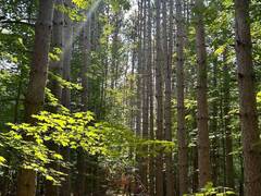 LOT 7 POND ROAD Tay Valley Ontario, K0H 2B0