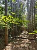 LOT 8 POND ROAD | Tay Valley Ontario | Slide Image One
