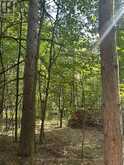 LOT 8 POND ROAD | Tay Valley Ontario | Slide Image Five