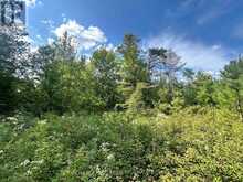 LOT 8 POND ROAD | Tay Valley Ontario | Slide Image Seven