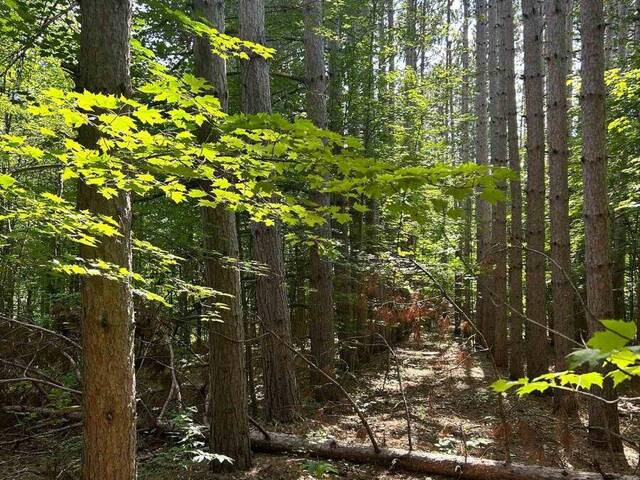 LOT 8 POND ROAD Tay Valley Ontario, K0H 2B0 - Vacant Land For Sale