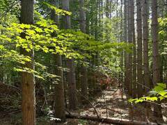 LOT 8 POND ROAD Tay Valley Ontario, K0H 2B0