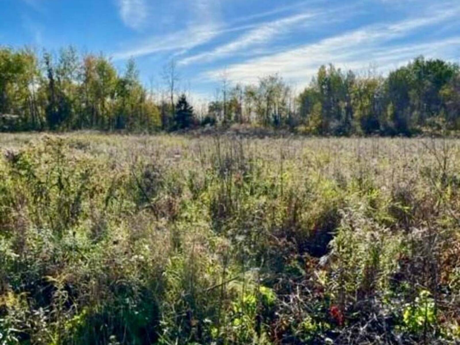 25 HONEY BEE GROVE, Ottawa, Ontario K0A 2Z0