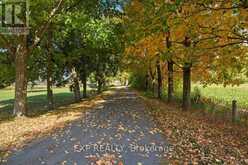 2830 CONCESSION 4 ROAD | Alfred and Plantagenet Ontario | Slide Image Thirty
