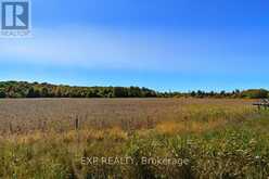 2830 CONCESSION 4 ROAD | Alfred and Plantagenet Ontario | Slide Image Thirty-one