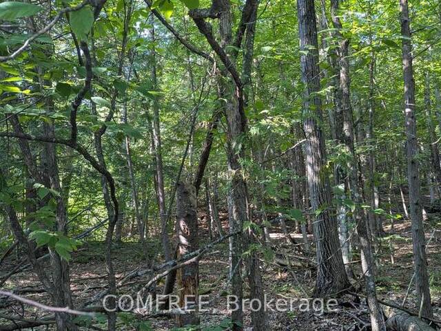 4853 OPEONGO ROAD Ottawa Ontario, K0A 3M0 - Vacant Land For Sale