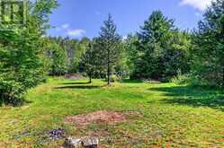 00 PIPER'S BAY LANE | Rideau Lakes Ontario | Slide Image Eleven