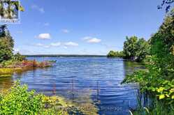 00 PIPER'S BAY LANE | Rideau Lakes Ontario | Slide Image Thirty-nine