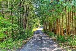 00 PIPER'S BAY LANE | Rideau Lakes Ontario | Slide Image Seven