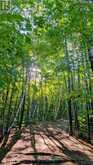 270 FERNLEAF CRESCENT | Ottawa Ontario | Slide Image Forty-one