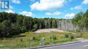 4203 MATAWATCHAN ROAD | Greater Madawaska Ontario | Slide Image Six