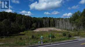 4203 MATAWATCHAN ROAD | Greater Madawaska Ontario | Slide Image Seven