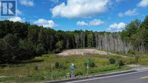 4203 MATAWATCHAN ROAD | Greater Madawaska Ontario | Slide Image Eight