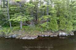77 CARRIAGE LANDING DRIVE | Whitewater Region Ontario | Slide Image Seven
