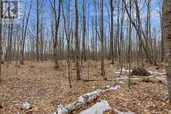 00 PART OF LOT 11 GAGNE ROAD | Clarence-Rockland Ontario | Slide Image Thirteen