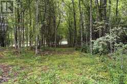 L3C9P1 WILSON STREET | Mississippi Mills Ontario | Slide Image Nine