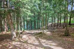 110 MCVICAR LANE | Lanark Highlands Ontario | Slide Image Nine