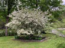 431 GOLDEN LINE ROAD | Almonte Ontario | Slide Image Forty