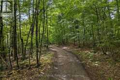 000 WINDY POINT SIDE ROAD | Lanark Highlands Ontario | Slide Image Thirty