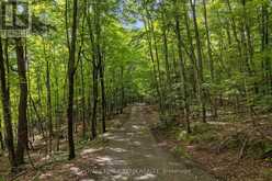 000 WINDY POINT SIDE ROAD | Lanark Highlands Ontario | Slide Image Thirty-two