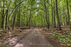 000 WINDY POINT SIDE ROAD | Lanark Highlands Ontario | Slide Image Seven
