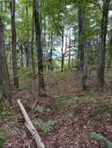 000 WINDY POINT SIDE ROAD | Lanark Highlands Ontario | Slide Image Twenty-six