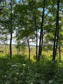 00 STATION ROAD | Rideau Lakes Ontario | Slide Image Seven