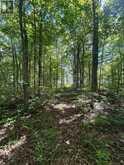 00 STATION ROAD | Rideau Lakes Ontario | Slide Image Eight