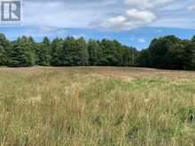 485 5TH CONCESSION S | Mississippi Mills Ontario | Slide Image Two