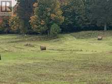 485 5TH CONCESSION S | Mississippi Mills Ontario | Slide Image Thirty-seven