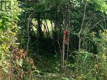 485 5TH CONCESSION S | Mississippi Mills Ontario | Slide Image Nine
