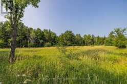 752 BENNETT LAKE ROAD | Tay Valley Ontario | Slide Image Nine