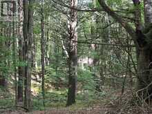 1904 PITTSTON ROAD | Edwardsburgh-Cardinal Ontario | Slide Image Nineteen