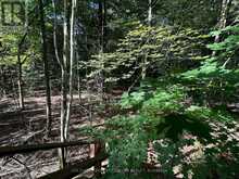 1904 PITTSTON ROAD | Edwardsburgh-Cardinal Ontario | Slide Image Eight