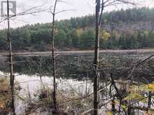 PT LOT 10 CON 10 LAVANT | Lanark Ontario | Slide Image Ten