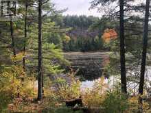 PT LOT 10 CON 10 LAVANT | Lanark Ontario | Slide Image Nine