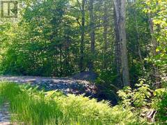 00 BUCKSHOT LAKE ROAD Addington Highlands Ontario, K0H 1K0