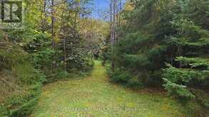 6043 511 HIGHWAY | Lanark Ontario | Slide Image Twenty-seven