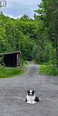 466 STEWARTVILLE ROAD | Lanark Highlands Ontario | Slide Image Eight