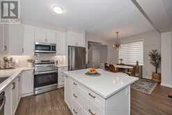 652 BRONZE COPPER CRESCENT | Ottawa Ontario | Slide Image Thirteen
