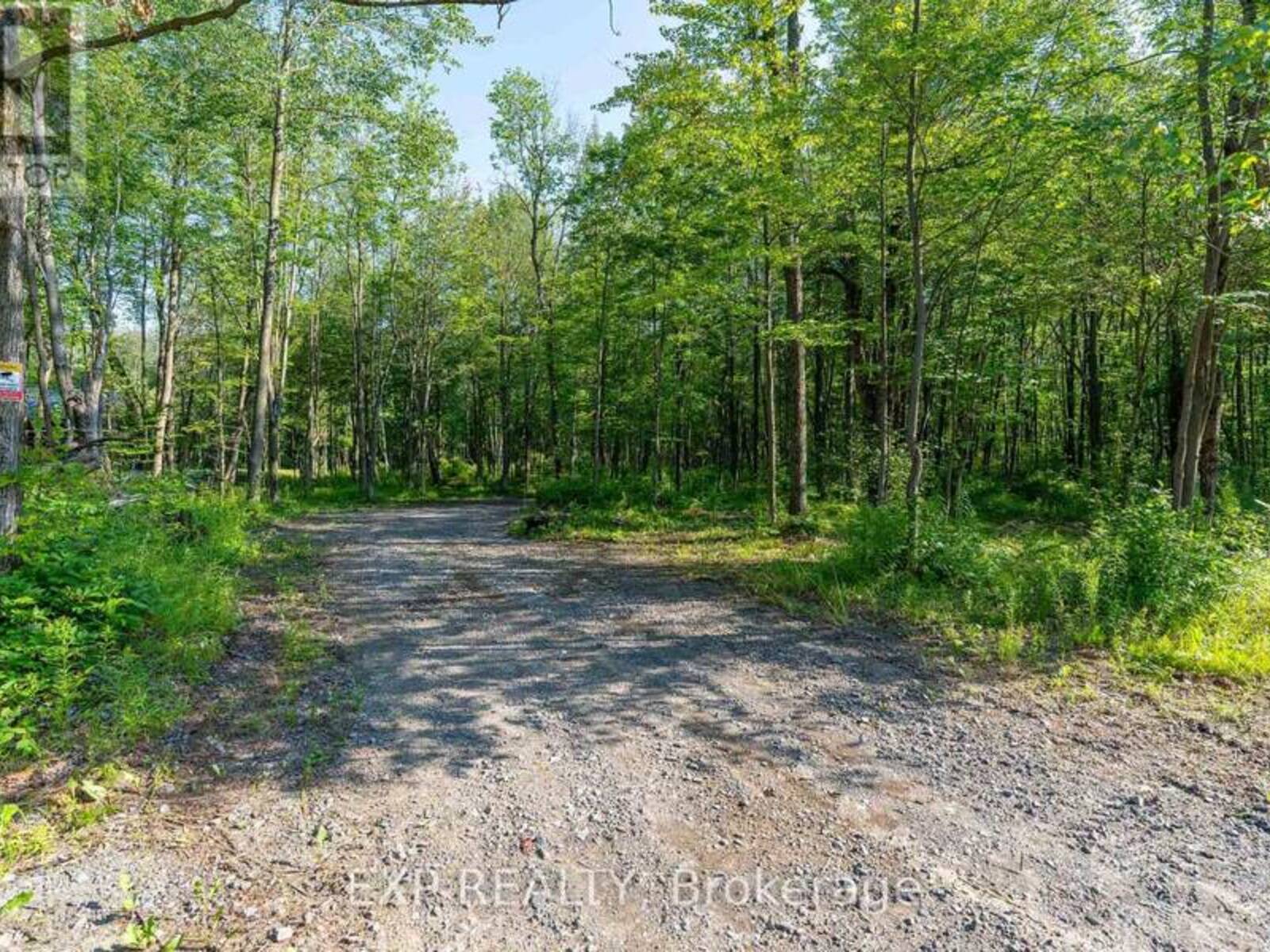 LOT 20 CONCESSION 4 ROAD, Alfred and Plantagenet, Ontario K0B 1L0