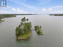 0 ZAVIKON ISLAND | Lansdowne Ontario | Slide Image Thirteen