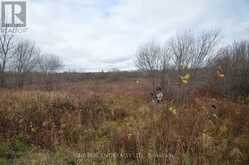 0 LOCH GARRY ROAD | North Glengarry Ontario | Slide Image Ten