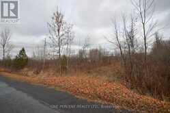 0 LOCH GARRY ROAD | North Glengarry Ontario | Slide Image One
